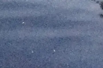 Extrait brut du signal à 04:20:03