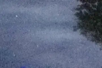 Extrait brut du signal à 04:21:46