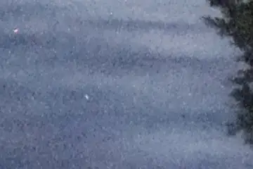 Extrait brut du signal à 04:21:46
