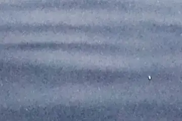 Extrait brut du signal à 04:26:56