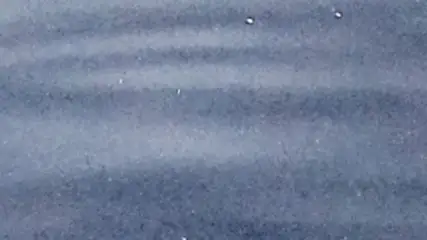 Extrait brut du signal à 04:30:23