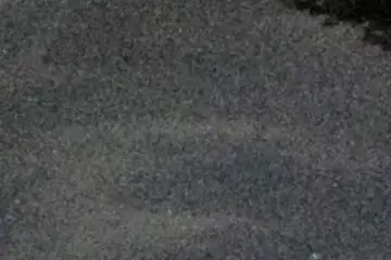 Extrait brut du signal à 04:22:13
