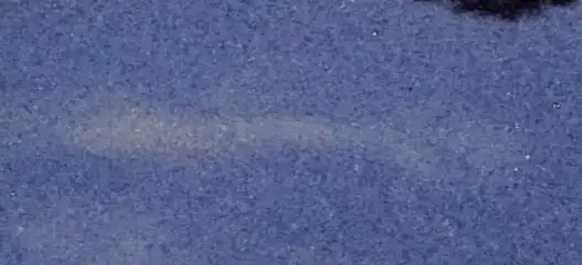 Extrait brut du signal à 22:52:26