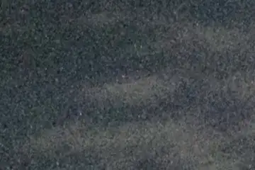 Extrait brut du signal à 02:47:10