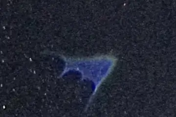 Extrait brut du signal à 23:36:20