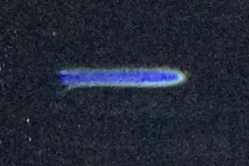 Extrait brut du signal à 00:41:45