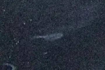 Extrait brut du signal à 01:48:55