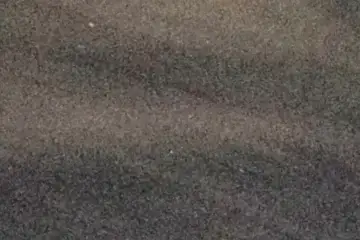Extrait brut du signal à 05:11:41