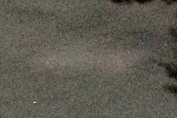Extrait brut du signal à 02:44:01