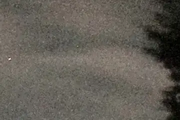 Extrait brut du signal à 05:29:19