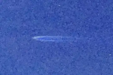 Extrait brut du signal à 05:57:14