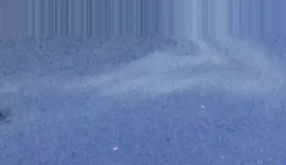 Extrait brut du signal à 22:03:29
