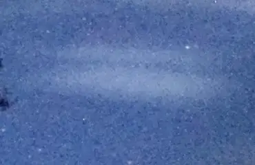Extrait brut du signal à 00:21:38
