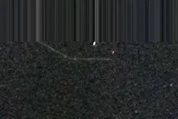 Extrait brut du signal à 23:11:11